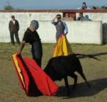 bullfight school